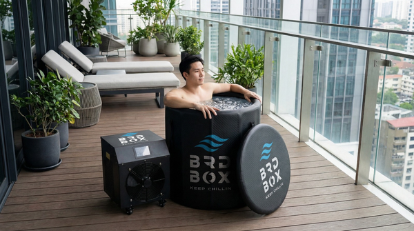 BRD BOX Barrel Plunge Pro with Super Chiller 1.5HP | Compact Upright Design